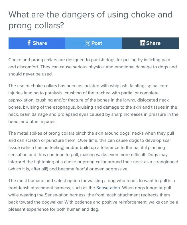 The Dangers of Choke Collars & Prong Collars What Kind of Collar Should